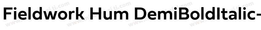 Fieldwork Hum DemiBoldItalic字体转换